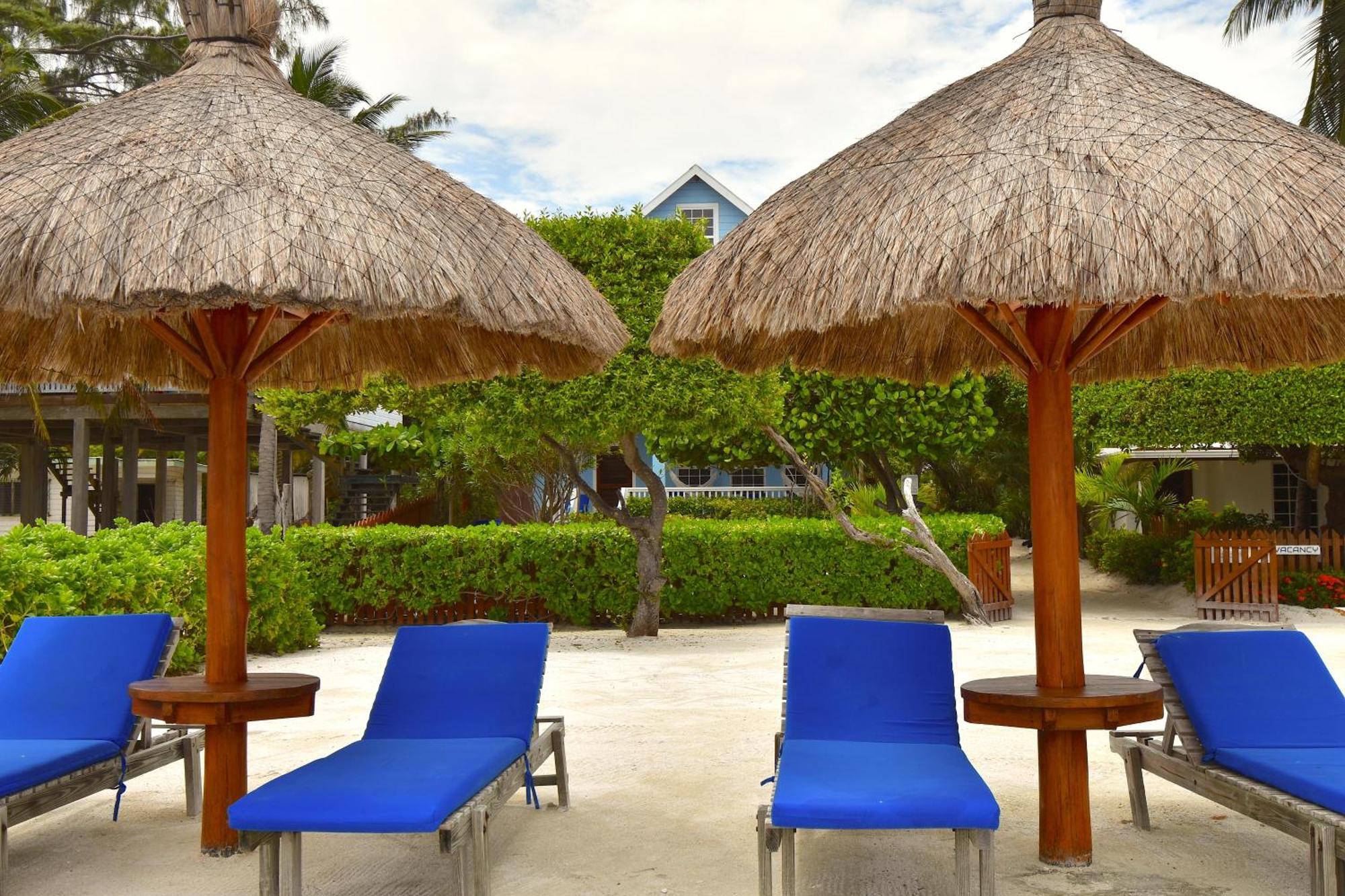 Palmetto Garden Cottage Caye Caulker Esterno foto