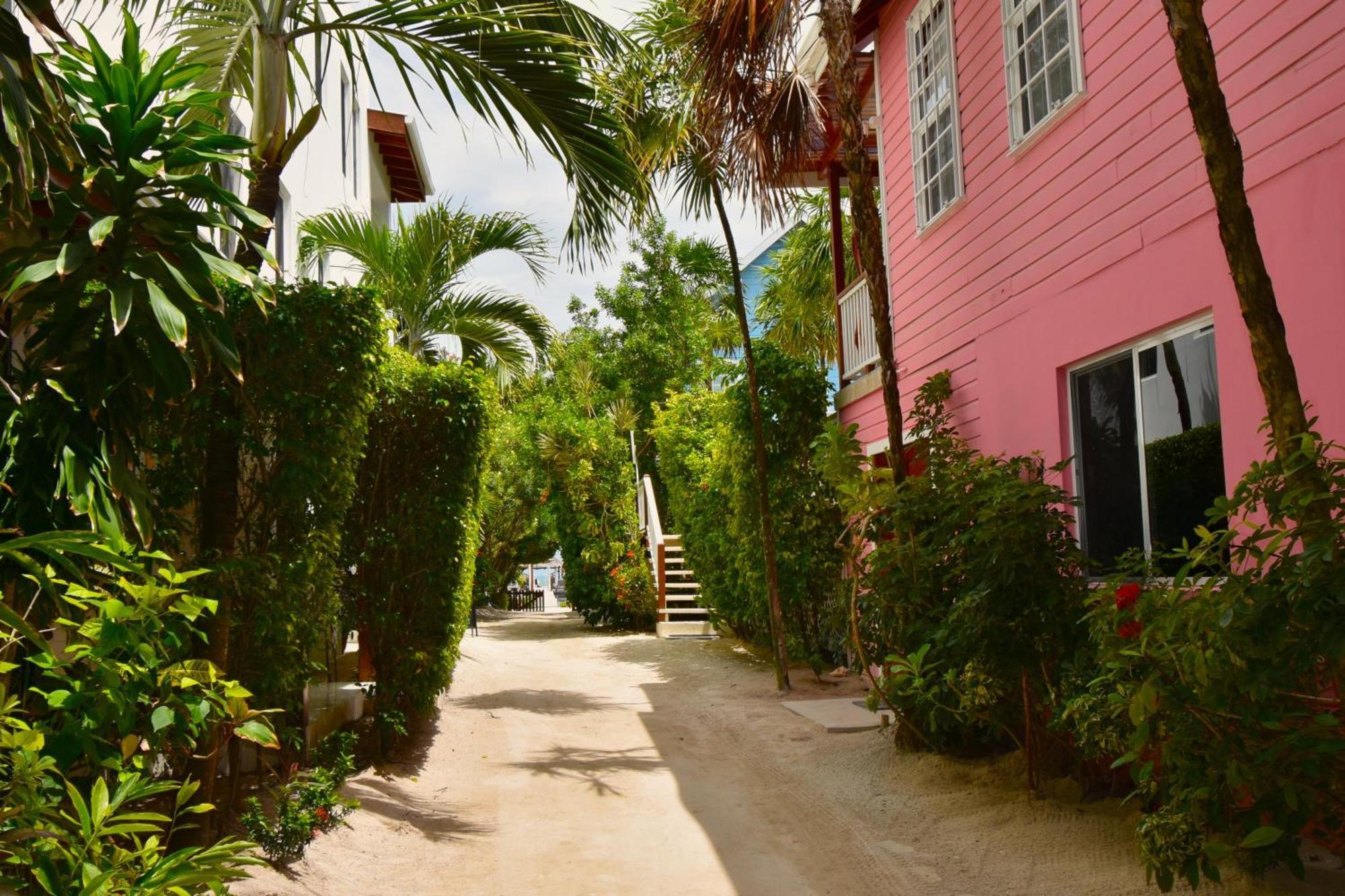 Palmetto Garden Cottage Caye Caulker Esterno foto